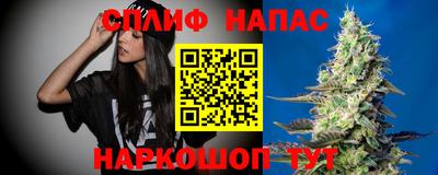 стафф Гусев