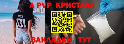 стафф Гусев