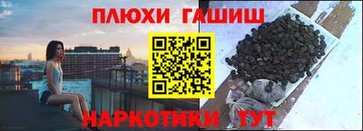 стафф Гусев
