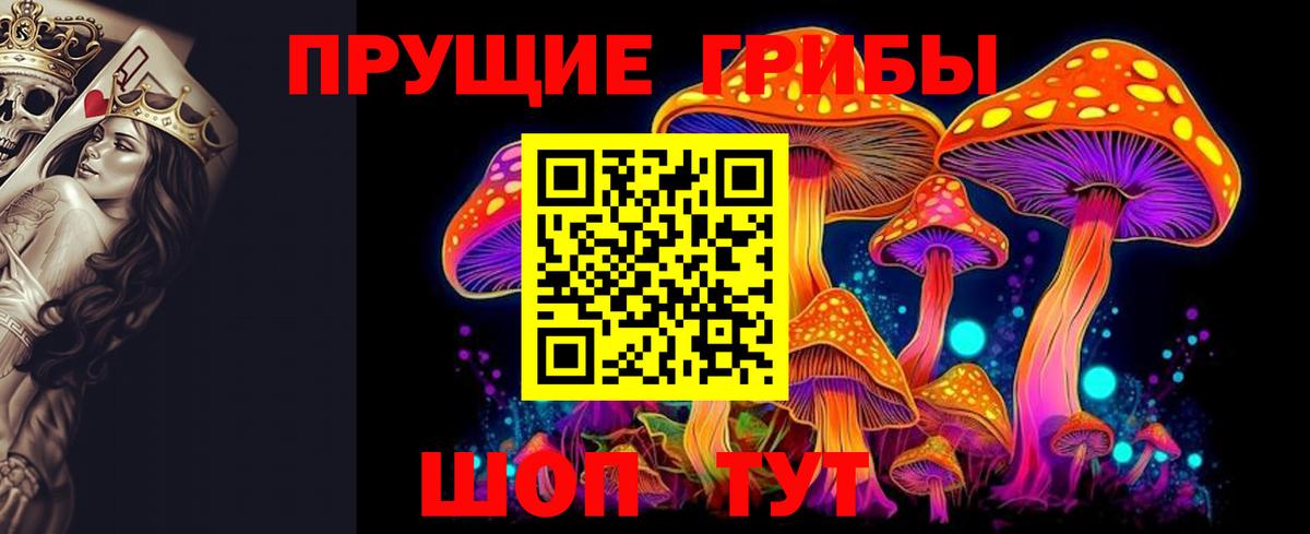 Галлюциногенные грибы Psilocybe  Вход с VPN  Галлюциногенные грибы Cubensis  где можно купить   Кумертау 